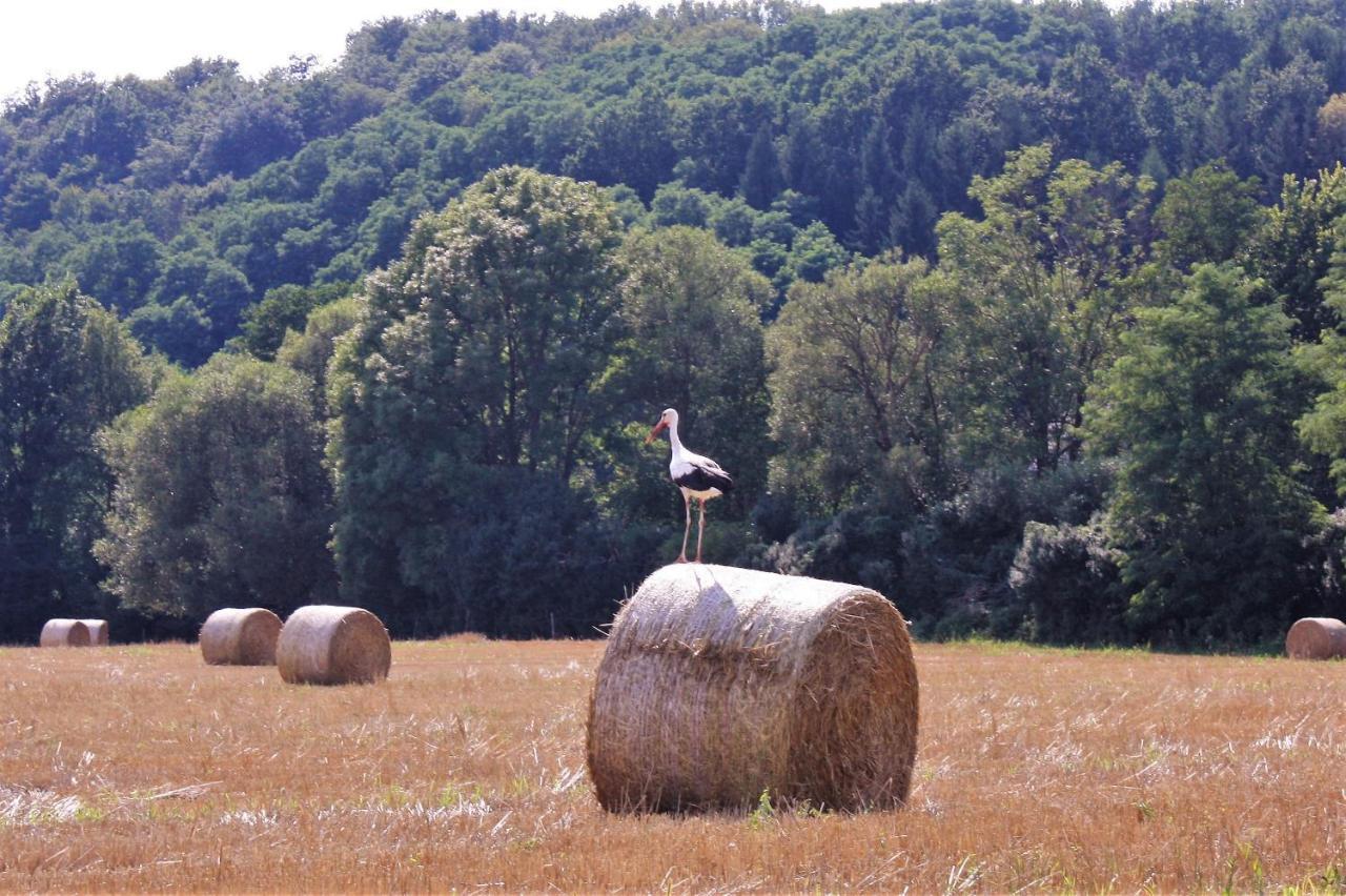 Naturpark Vendeghaz Alsoszolnok Dış mekan fotoğraf